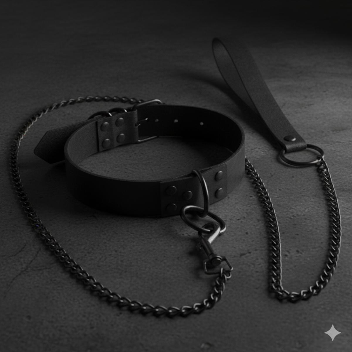 Hearts, Collars, And Leashes: Finding Partners For Pet And Power Play