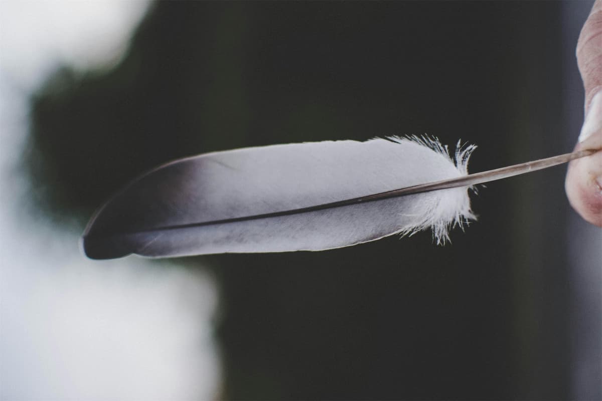 Feathers, Ice, And Everything Nice: Dating With A Sensation Play Kink