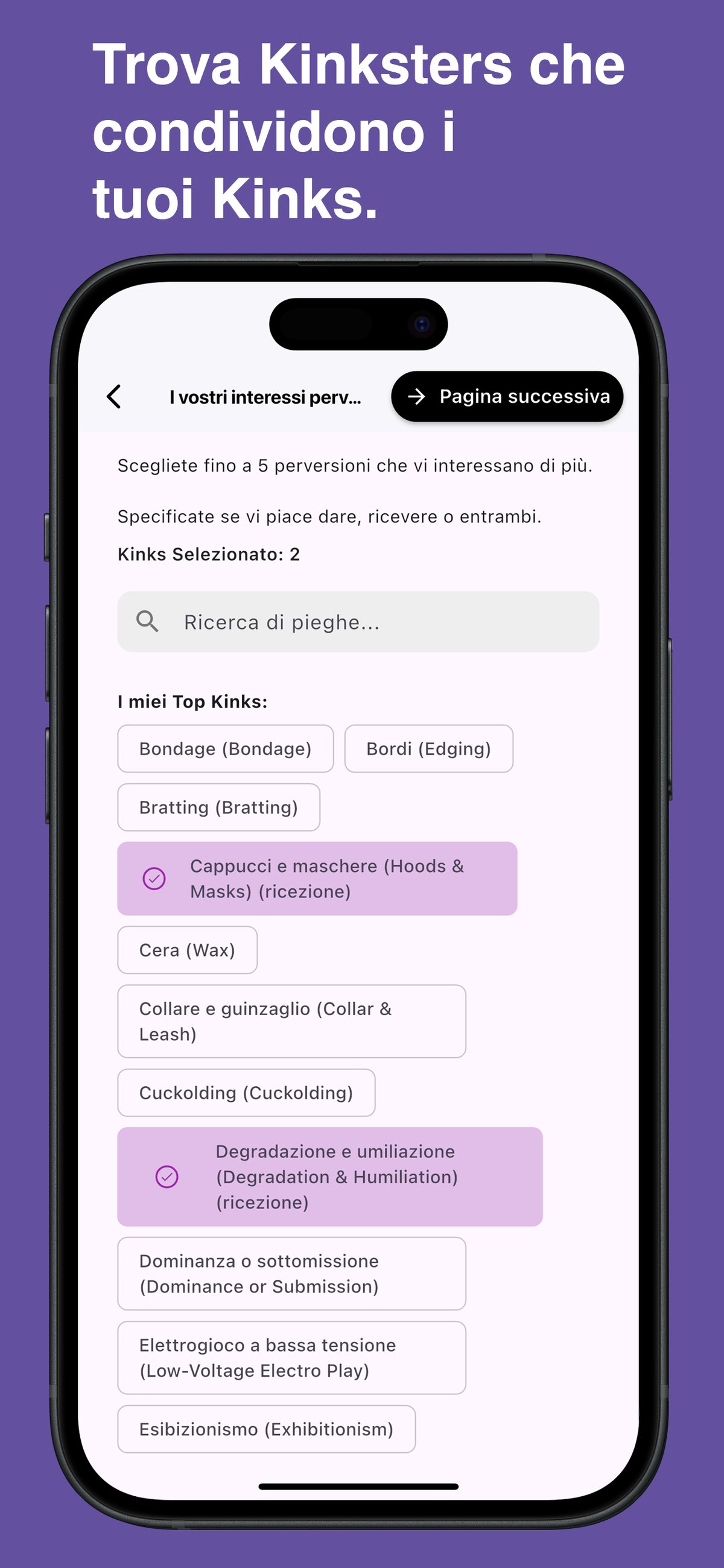 Browse and choose specific kinks in the Kinksy app