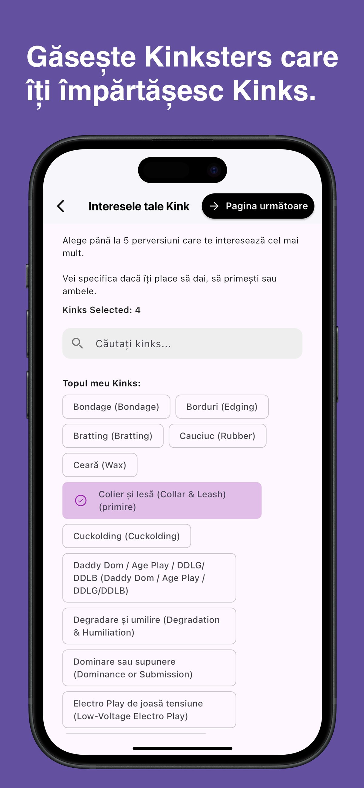 Browse and choose specific kinks in the Kinksy app